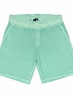 Men's Solid Regular Fit Elastic Waistband Casual Shorts, Seafoam Green