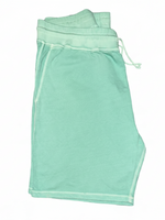 Men's Solid Regular Fit Elastic Waistband Casual Shorts, Seafoam Green