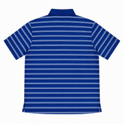 Men's Striped Polo Neck Regular Fit T-Shirt, Blue