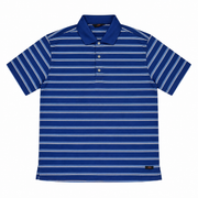 Men's Striped Polo Neck Regular Fit T-Shirt, Blue