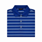 Men's Striped Polo Neck Regular Fit T-Shirt, Blue
