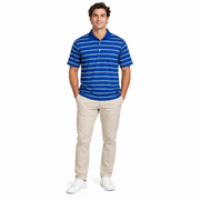 Men's Striped Polo Neck Regular Fit T-Shirt, Blue