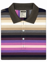 Men's Striped Polo Neck Regular Fit T-Shirt, Multicolor