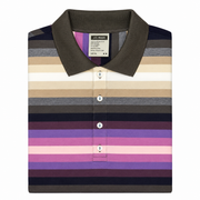 Men's Striped Polo Neck Regular Fit T-Shirt, Multicolor