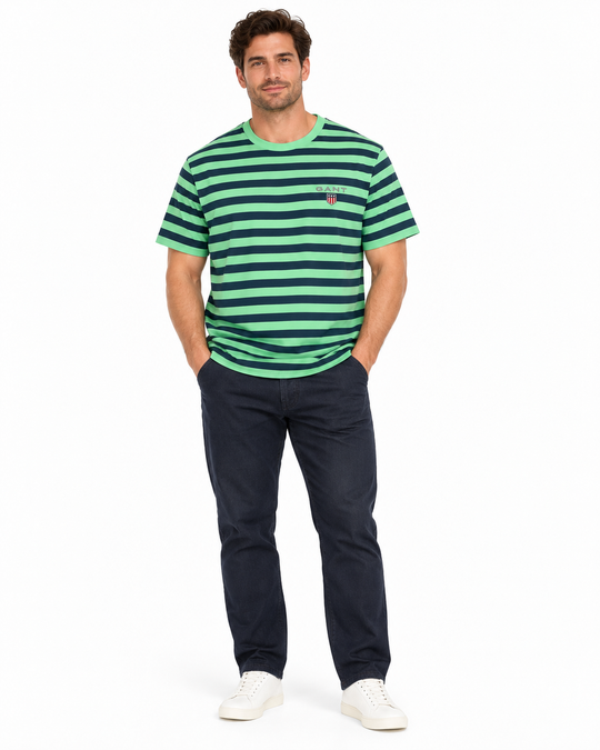 Men's Striped Brand Logo Round Neck T-Shirt, Green & Purple