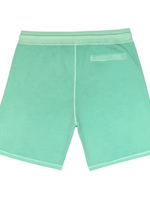 Men's Solid Regular Fit Elastic Waistband Casual Shorts, Seafoam Green