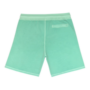 Men's Solid Regular Fit Elastic Waistband Casual Shorts, Seafoam Green