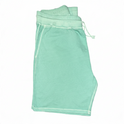 Men's Solid Regular Fit Elastic Waistband Casual Shorts, Seafoam Green