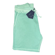 Men's Solid Regular Fit Elastic Waistband Casual Shorts, Seafoam Green